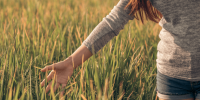 eat the grass