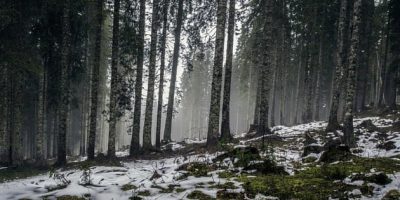 winter-1